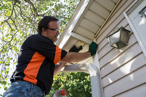 Affordable Siding Repair and Maintenance Services in Cedarhurst, NY